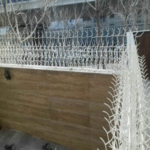 حفاظ بوته ای تراکم ۶۷