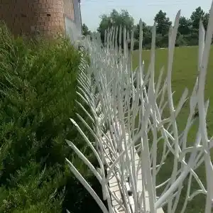 حفاظ شاخ گوزنی چیست؟