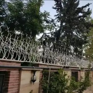 حفاظ شاخ گوزنی تراکم ۳۱