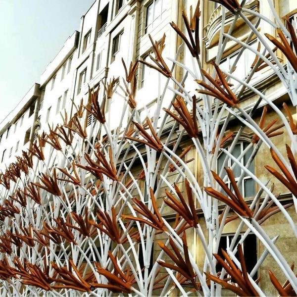 راهنمای مدل های حفاظ