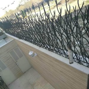 فروش حفاظ شاخ گوزنی