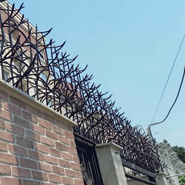 قیمت حفاظ شاخ گوزنی