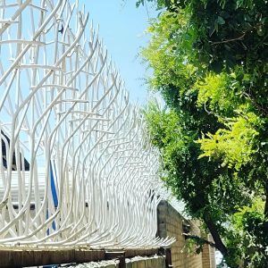 خرید و تولید حفاظ شاخ گوزنی