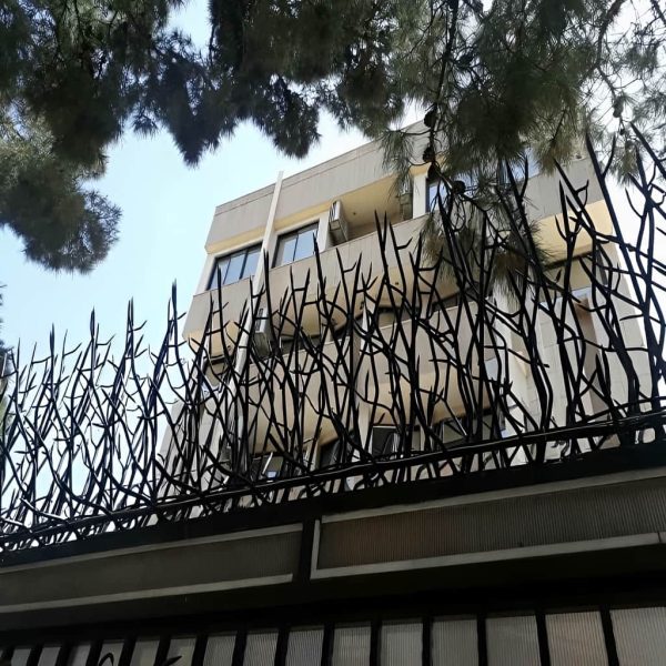 قیمت حفاظ بوته ای تراکم ۵۳