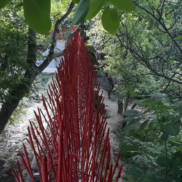 قیمت حفاظ بوته ای تراکم ۸۸