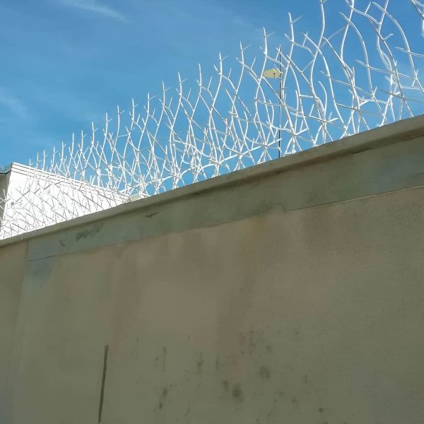 قیمت حفاظ شاخ گوزنی تراکم ۳۱