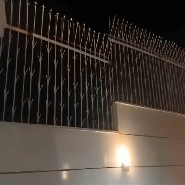 تولیدکننده حفاظ شمشادی
