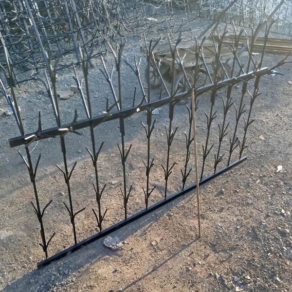 خرید حفاظ شمشادی