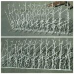 حفاظ شاخ گوزنی ایران