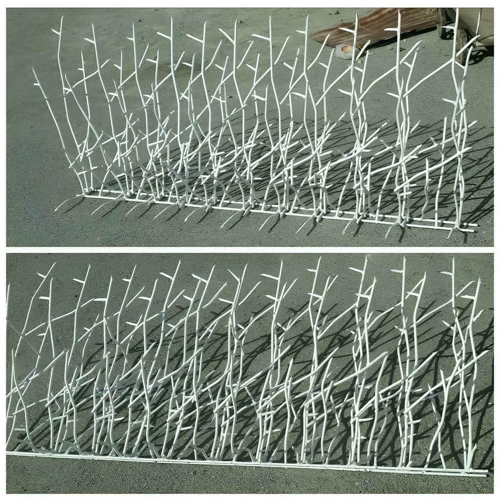 حفاظ شاخ گوزنی ایران حفاظ شاخ گوزنی ایران