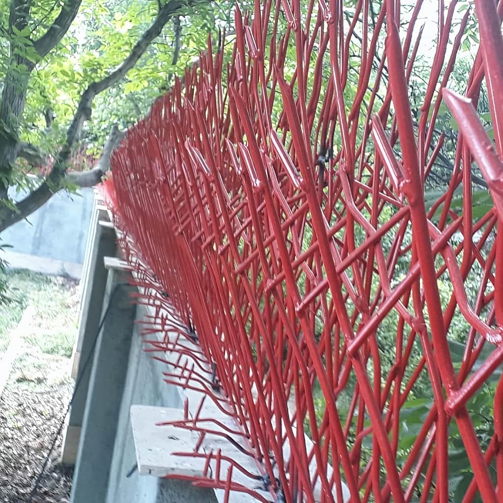 تولیدکننده حفاظ بوته ای تراکم ۸۸