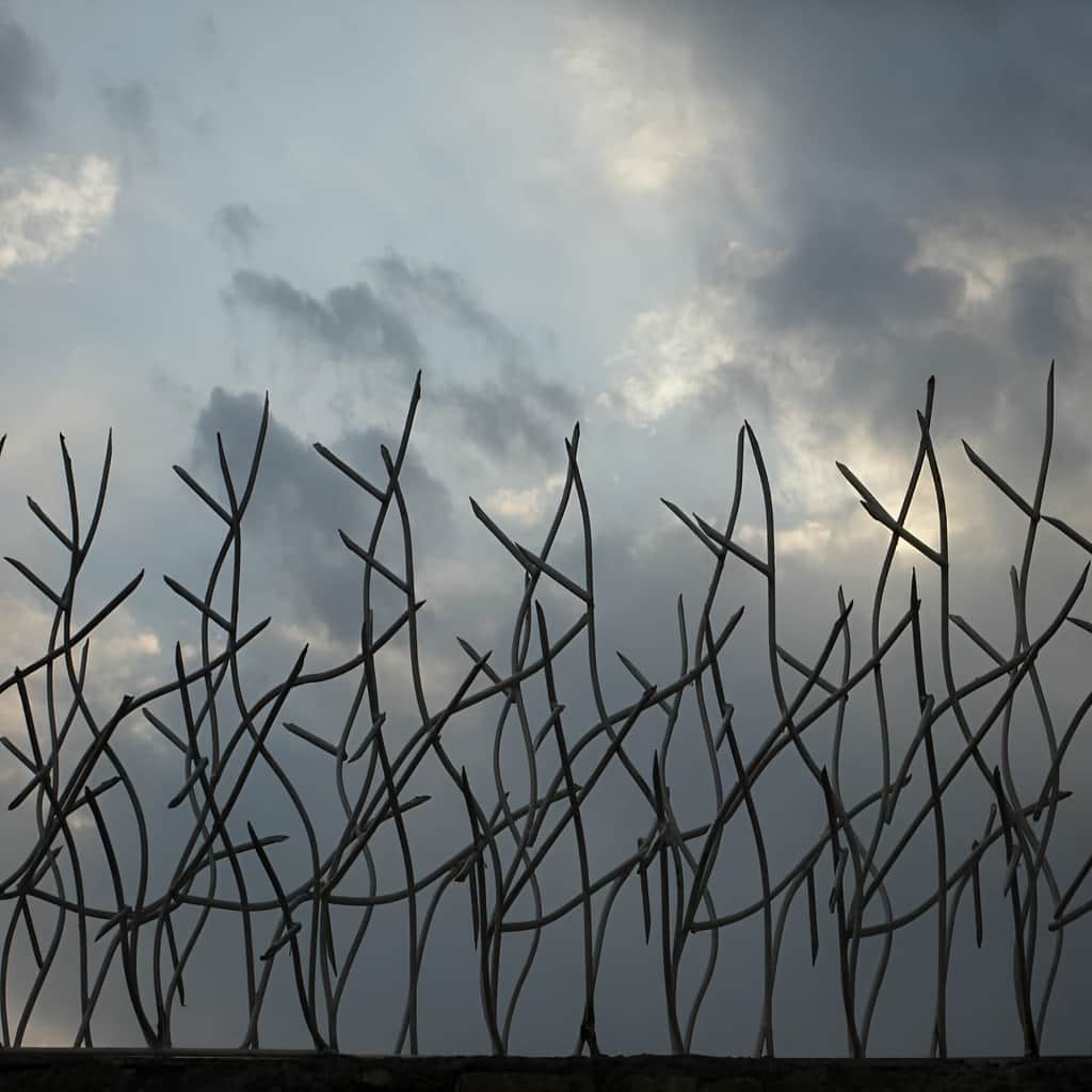 خرید حفاظ شاخ گوزنی تراکم ۲۲ اقتصادی