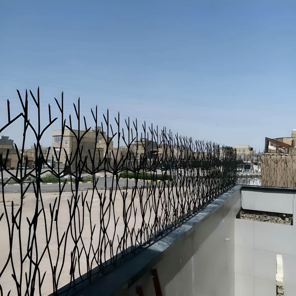 قیمت حفاظ شاخ گوزنی