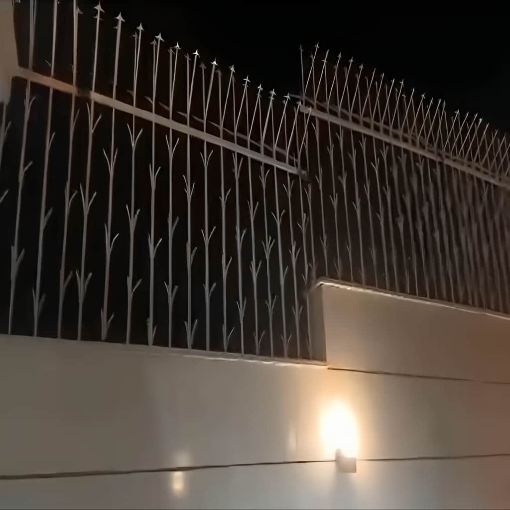 قیمت حفاظ شمشادی