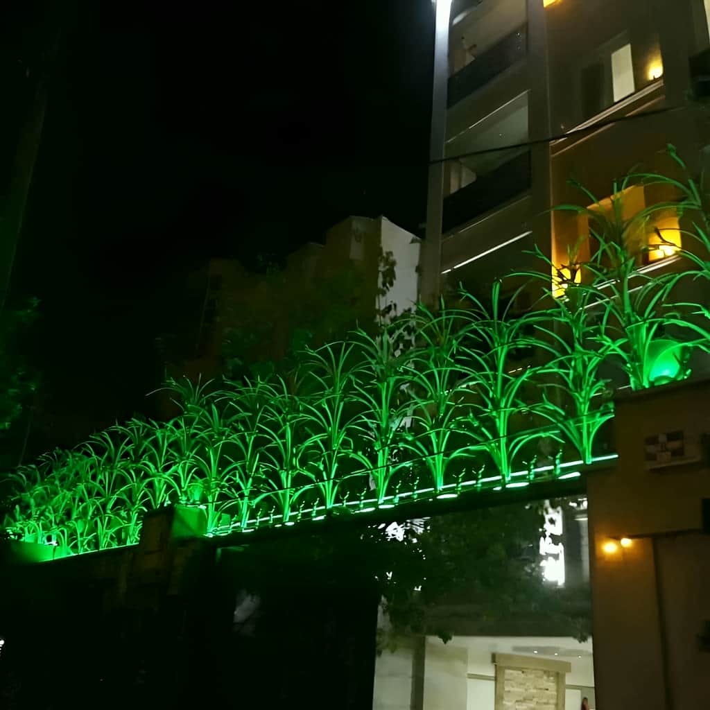 معرفی حفاظ لیلیوم