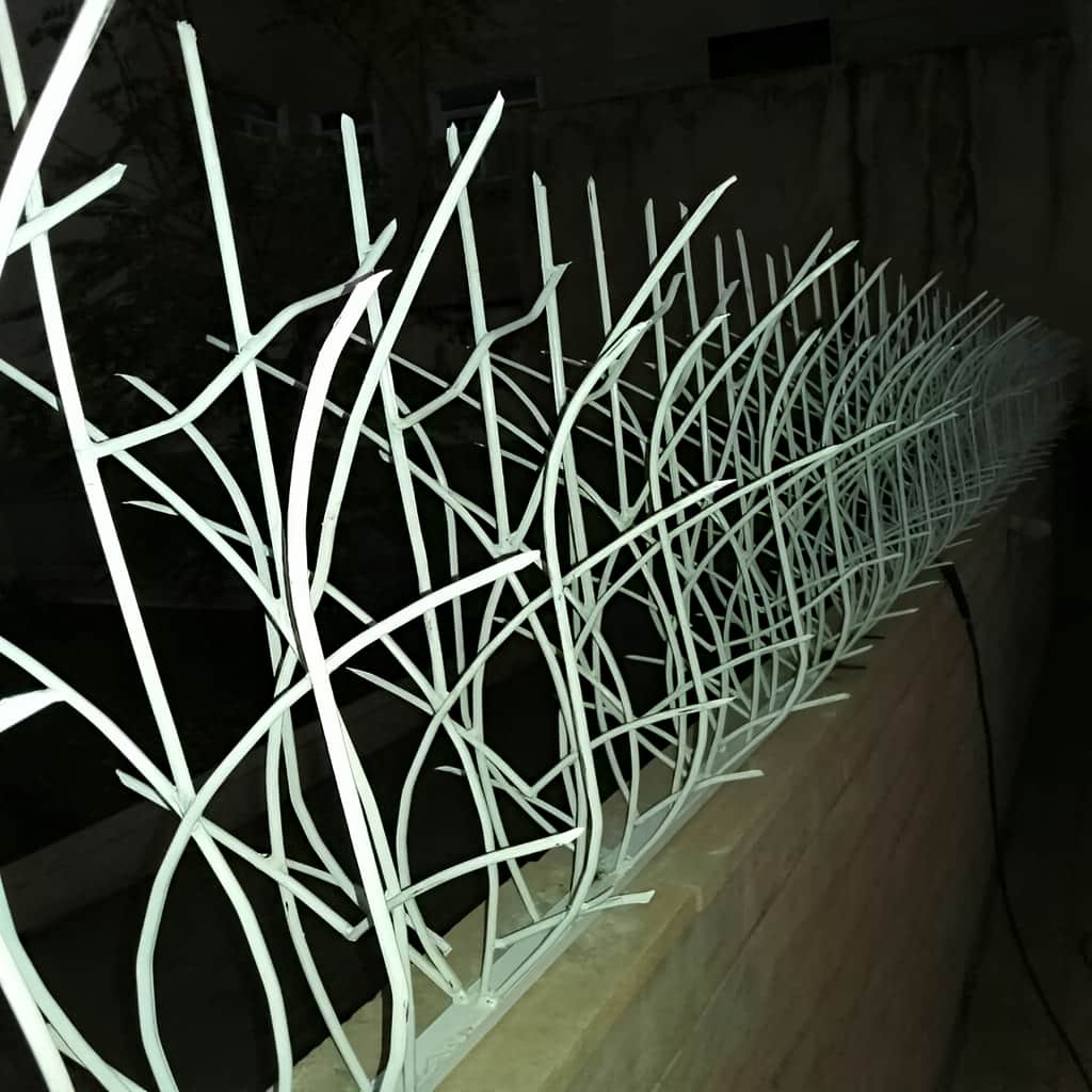 تولیدکننده حفاظ نیزار