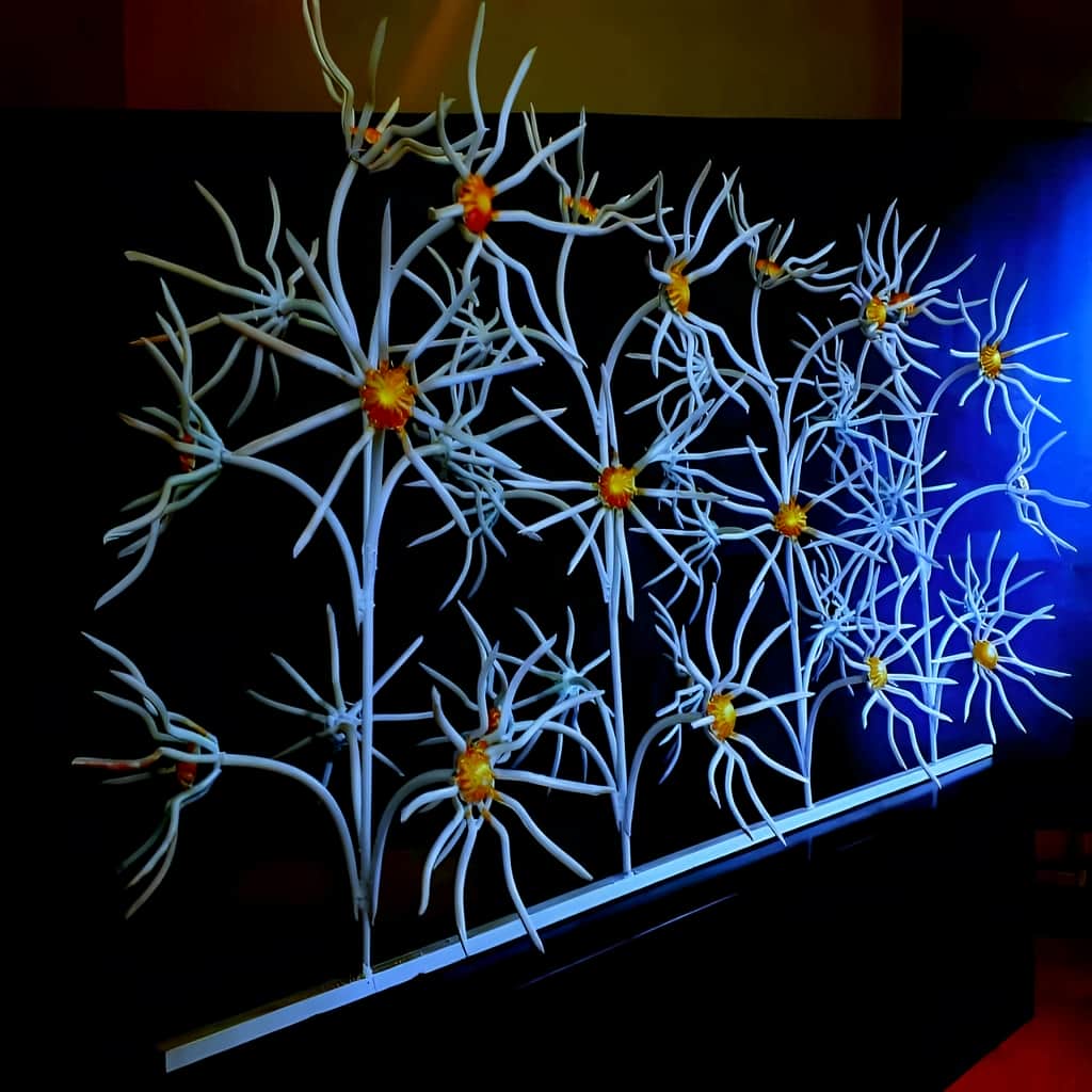 خرید حفاظ گل آفتابگردان