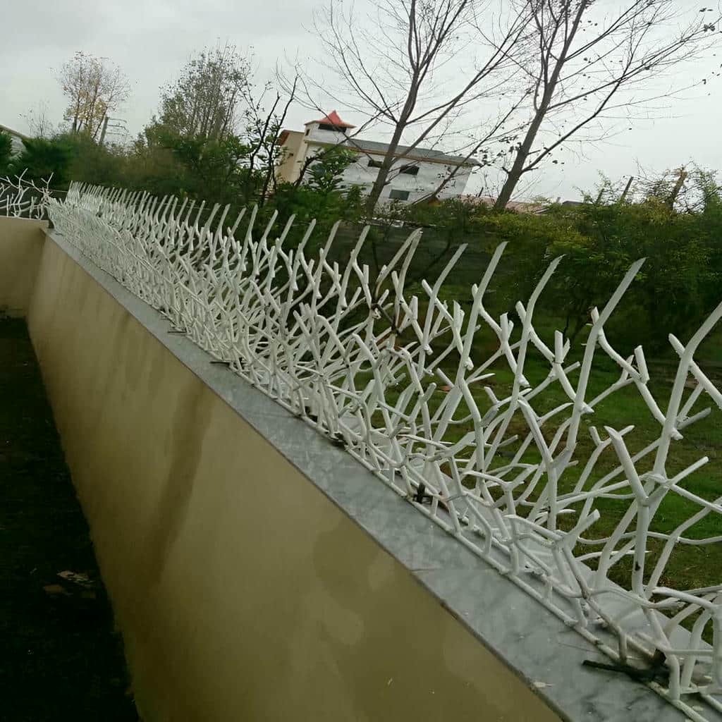 حفاظ شاخ گوزنی حفاظ شاخ گوزنی