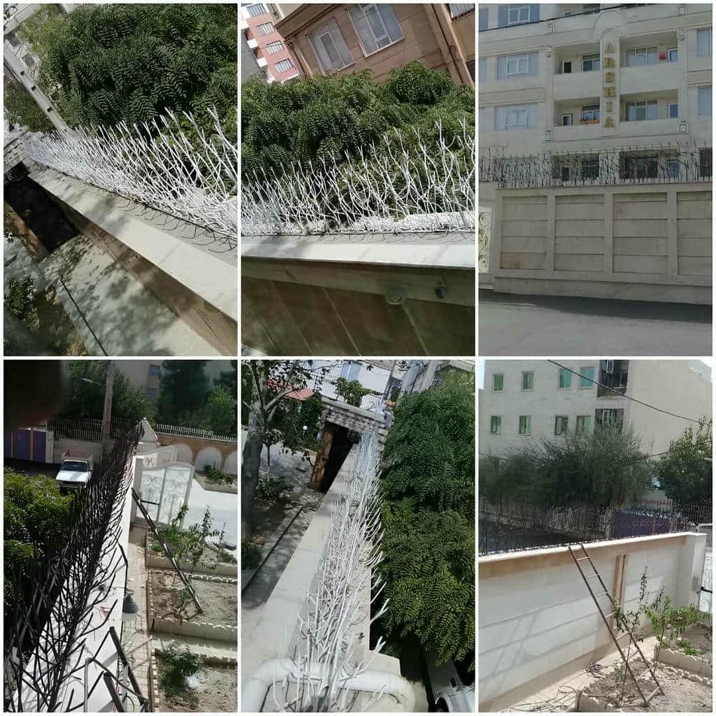 کارخانه حفاظ شاخ گوزنی دوام جوی در قم