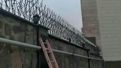 حفاظ شاخ گوزنی در رامسر