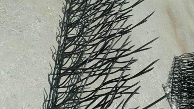 حفاظ شاخ گوزنی در زاهدان
