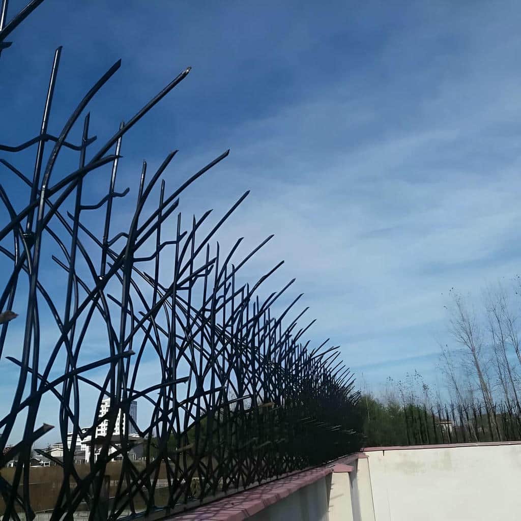 کارخانه حفاظ شاخ گوزنی دوام جوی در عظیمیه کرج