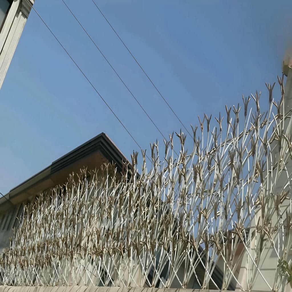 قیمت حفاظ شاخ گوزنی نوک تیز در بومهن