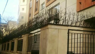 حفاظ شاخ گوزنی در فردیس کرج