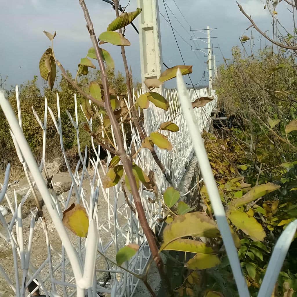 فروش حفاظ شاخ گوزنی ایمنی ضدنفوذ در استان گلستان