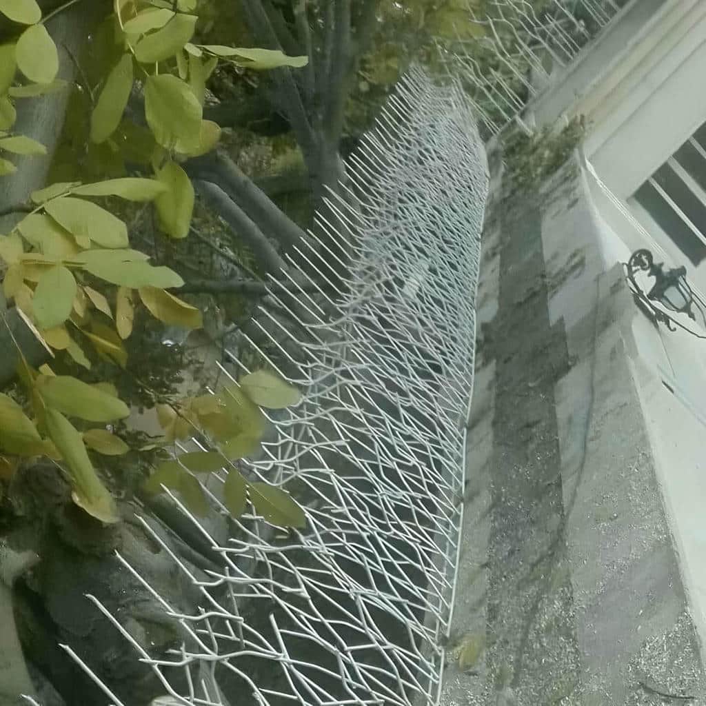 خرید حفاظ شاخ گوزنی تراکم بهینه در رشت