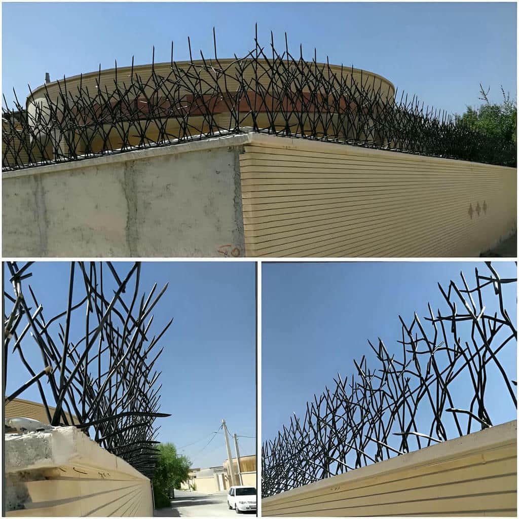 قیمت حفاظ شاخ گوزنی نوک تیز در زاهدان
