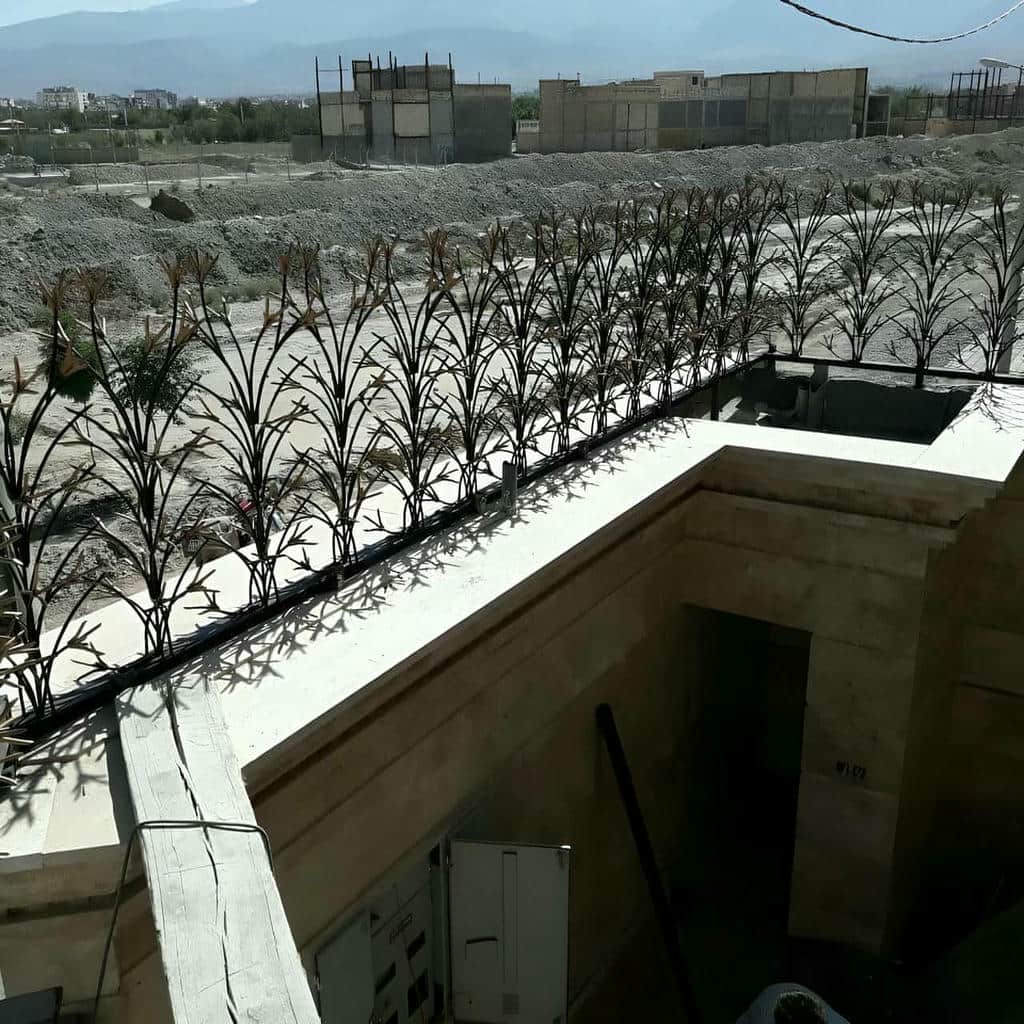 قیمت حفاظ شاخ گوزنی نوک تیز در یاسوج