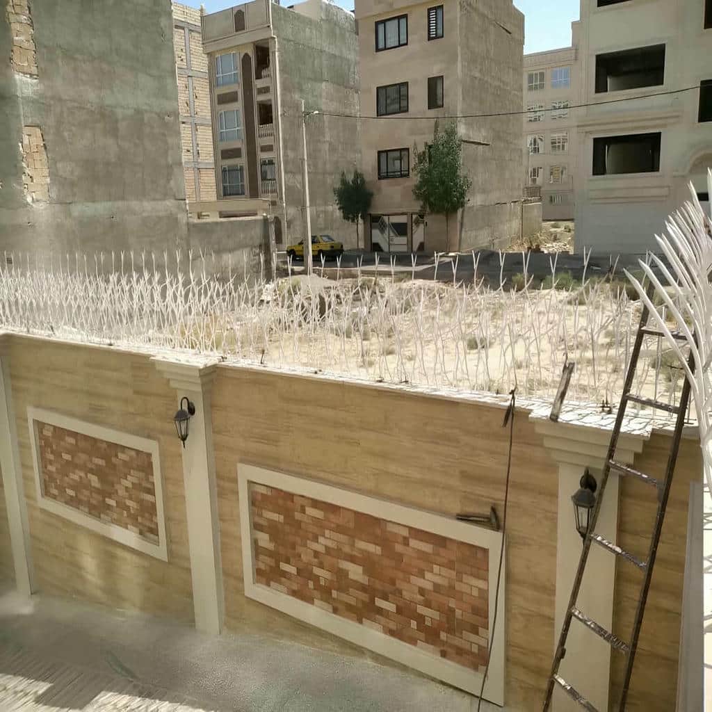 قیمت حفاظ شاخ گوزنی نوک تیز در اشتهارد
