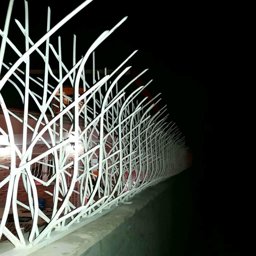 کارخانه حفاظ شاخ گوزنی دوام جوی در دماوند