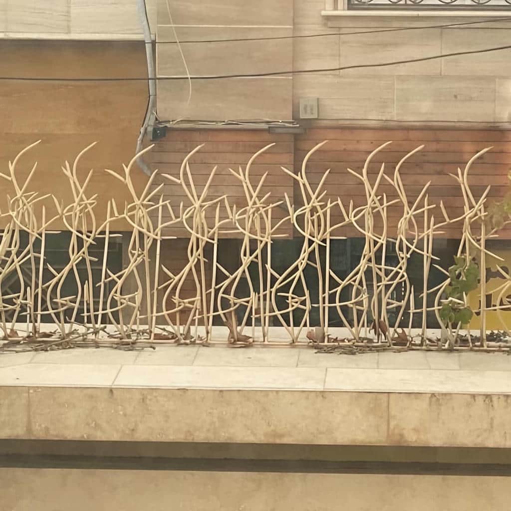 خرید حفاظ شاخ گوزنی شاخه ای در ایرانشهر