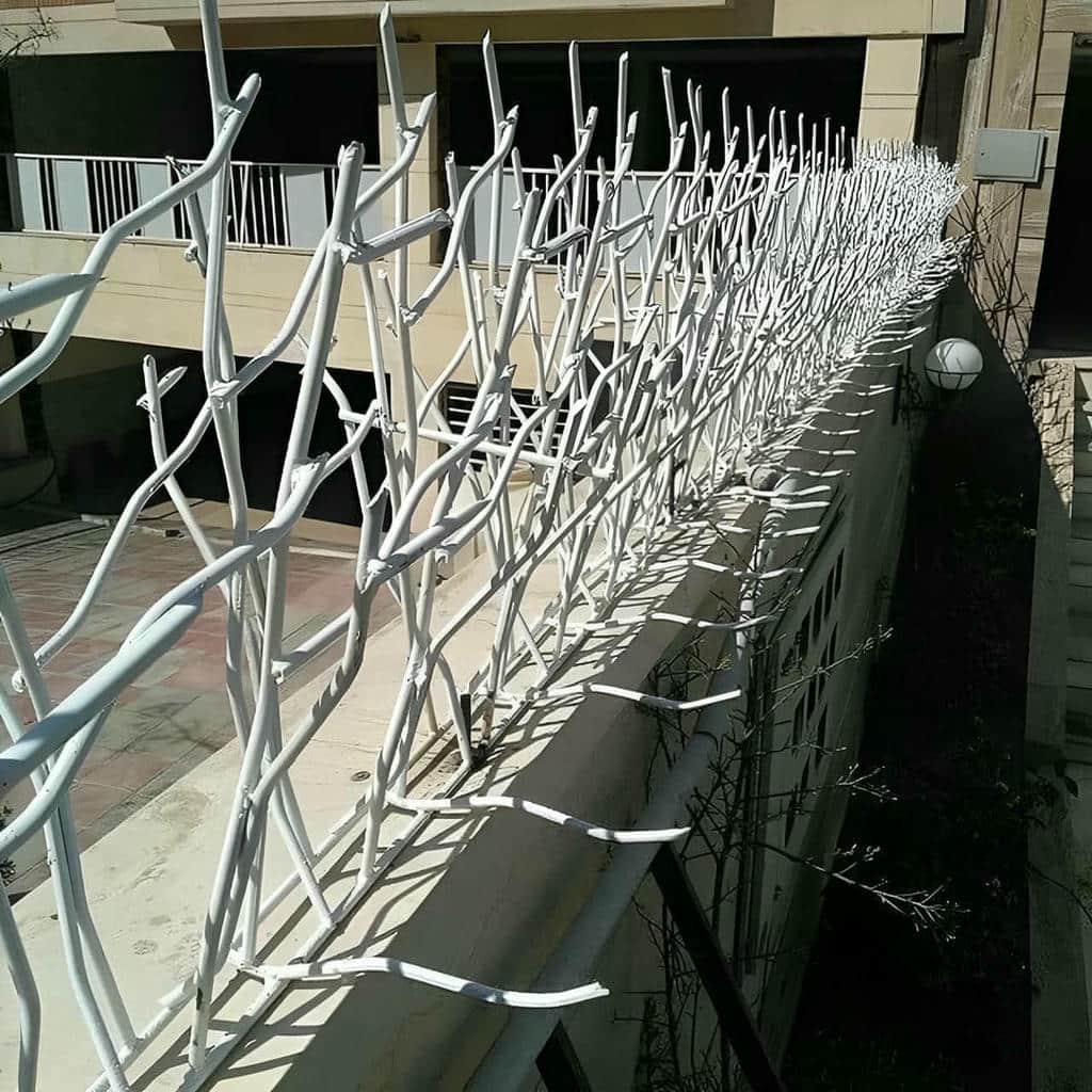 حفاظ شاخ گوزنی در شهرکرد