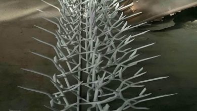 حفاظ شاخ گوزنی در مریوان