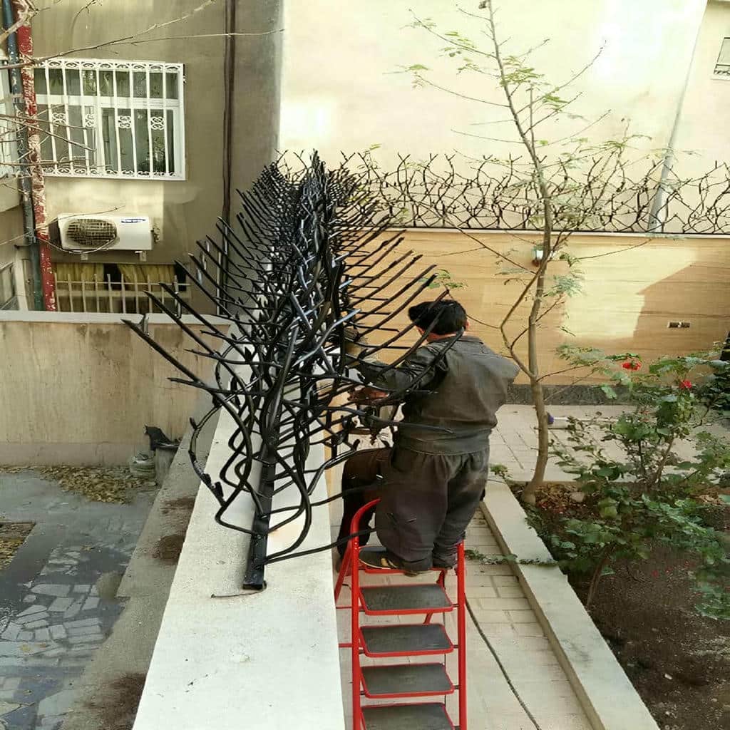 حفاظ شاخ گوزنی در قشم