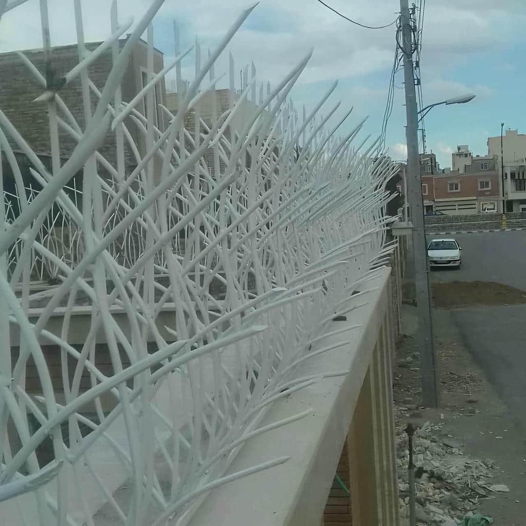 خرید حفاظ شاخ گوزنی شاخه ای در نظرآباد