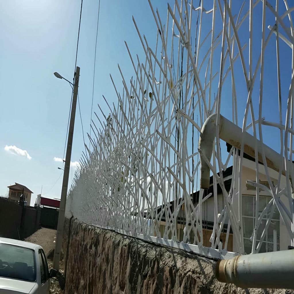 قیمت حفاظ شاخ گوزنی محوطه ای در نوشهر