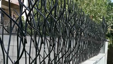 حفاظ شاخ گوزنی در ایرانشهر