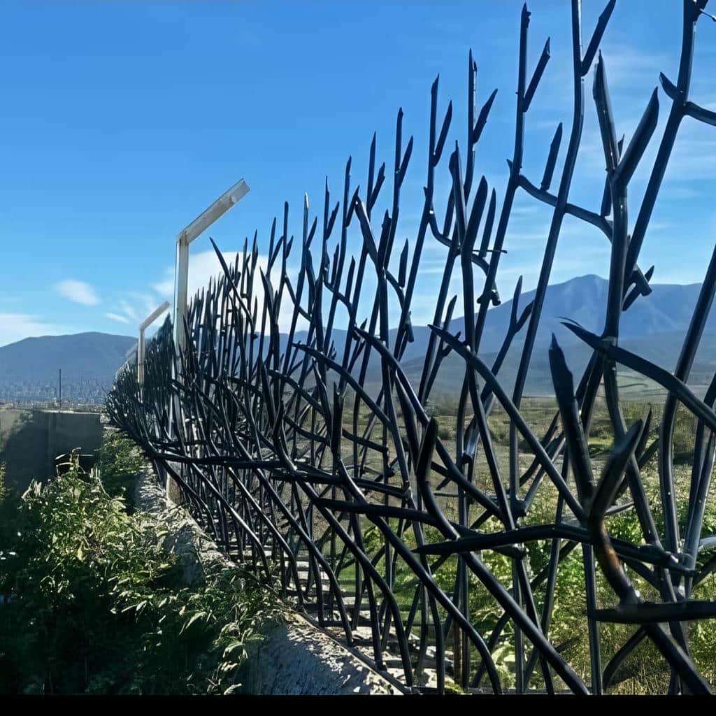 حفاظ شاخ گوزنی در گنبدکاووس