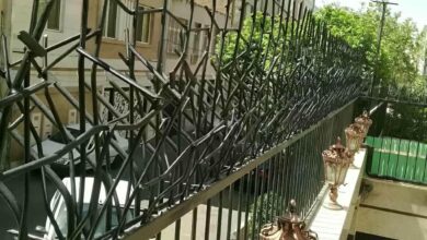 حفاظ شاخ گوزنی در محمودآباد