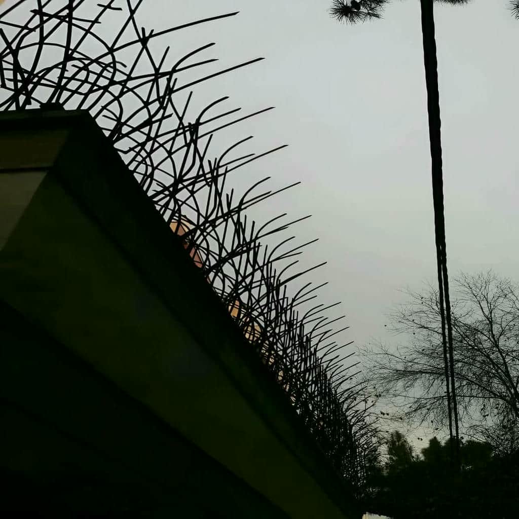 کارخانه حفاظ شاخ گوزنی متریال فولادی در کرمان
