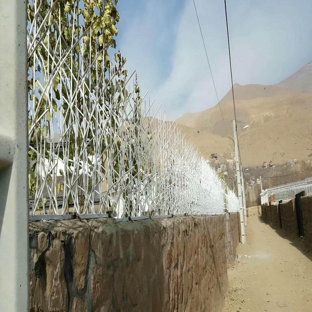 کارخانه حفاظ شاخ گوزنی دوام جوی در قزوین
