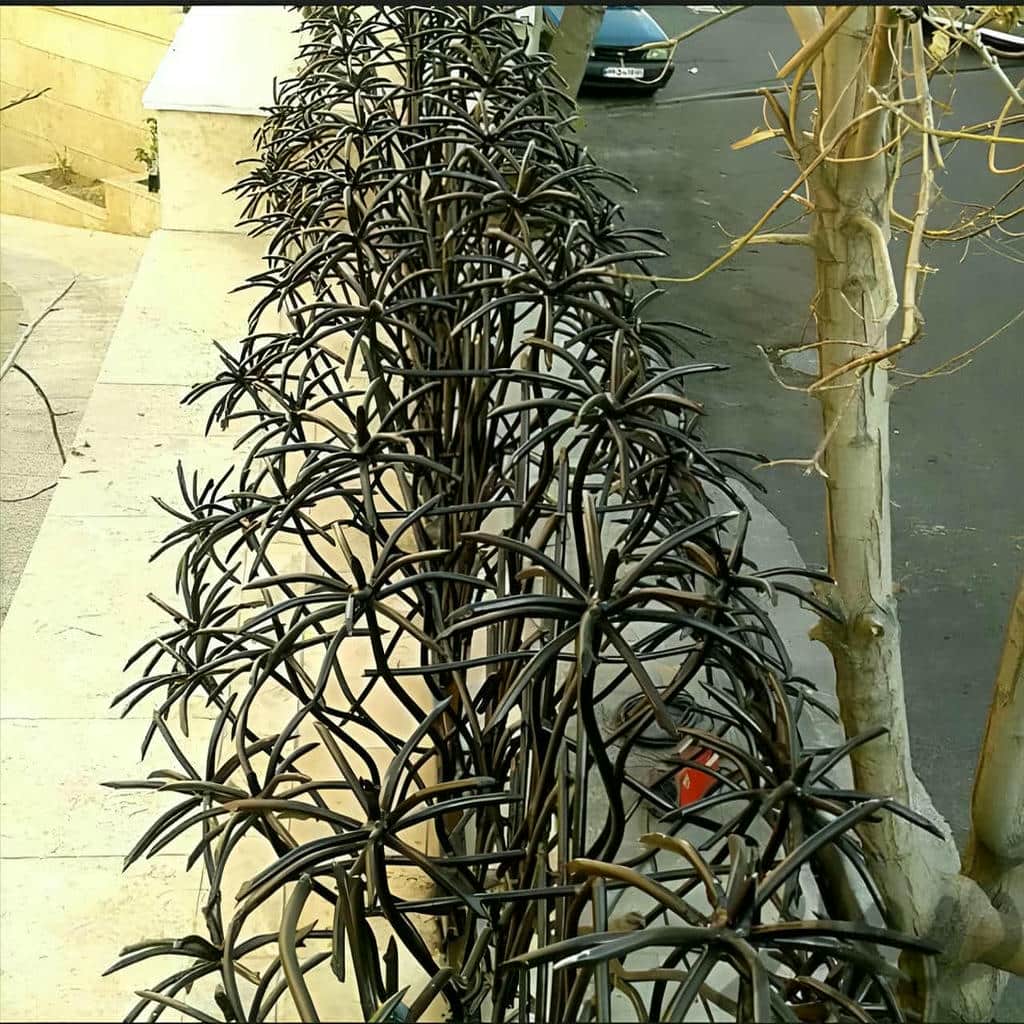 فروش حفاظ شاخ گوزنی نمای مدرن در کمال شهر فروش حفاظ شاخ گوزنی نمای مدرن در کمال شهر