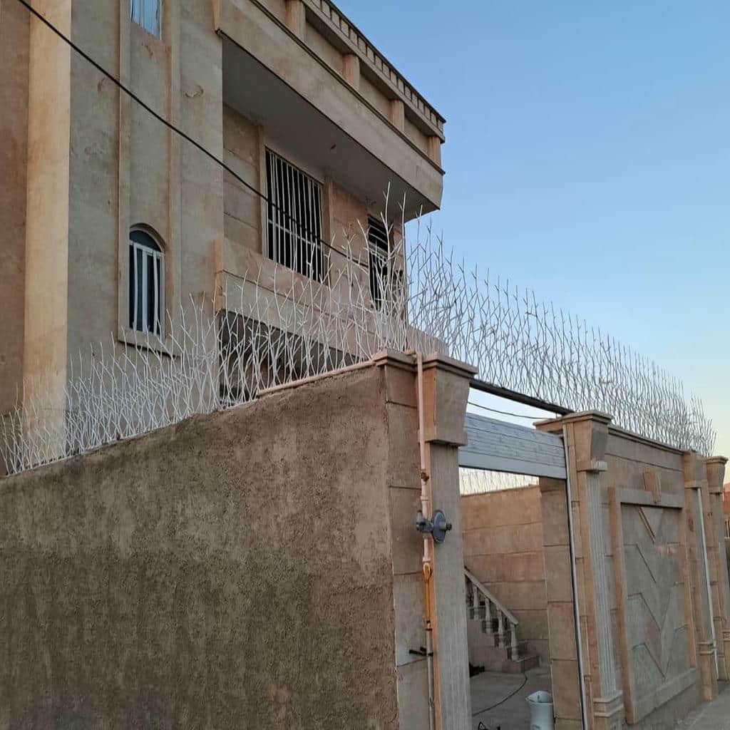 قیمت حفاظ شاخ گوزنی نوک تیز در قم