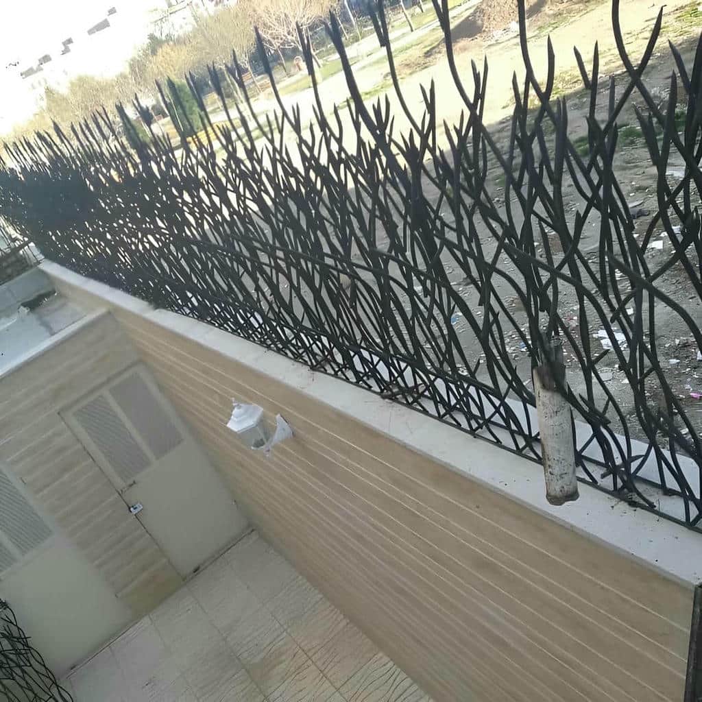 خرید حفاظ شاخ گوزنی شاخه ای در کیش