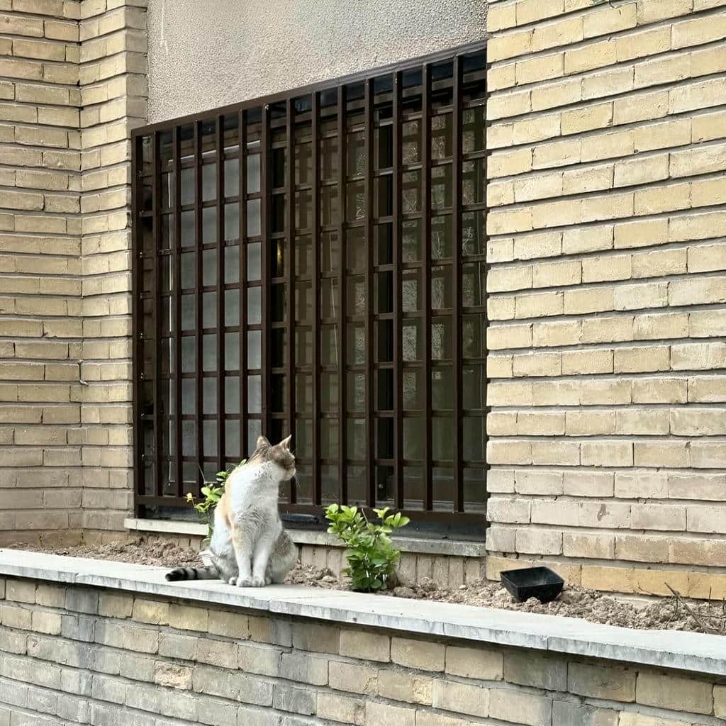 حفاظ پنجره در مریوان