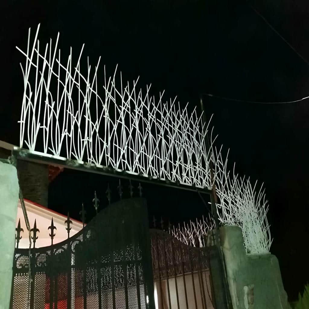 سفارش حفاظ روی دیوار باغ محوطه با رنگ مقاوم